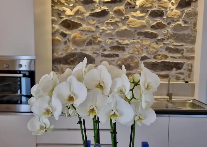 Stazzo La Quercia Piscina Condivisa شقة *